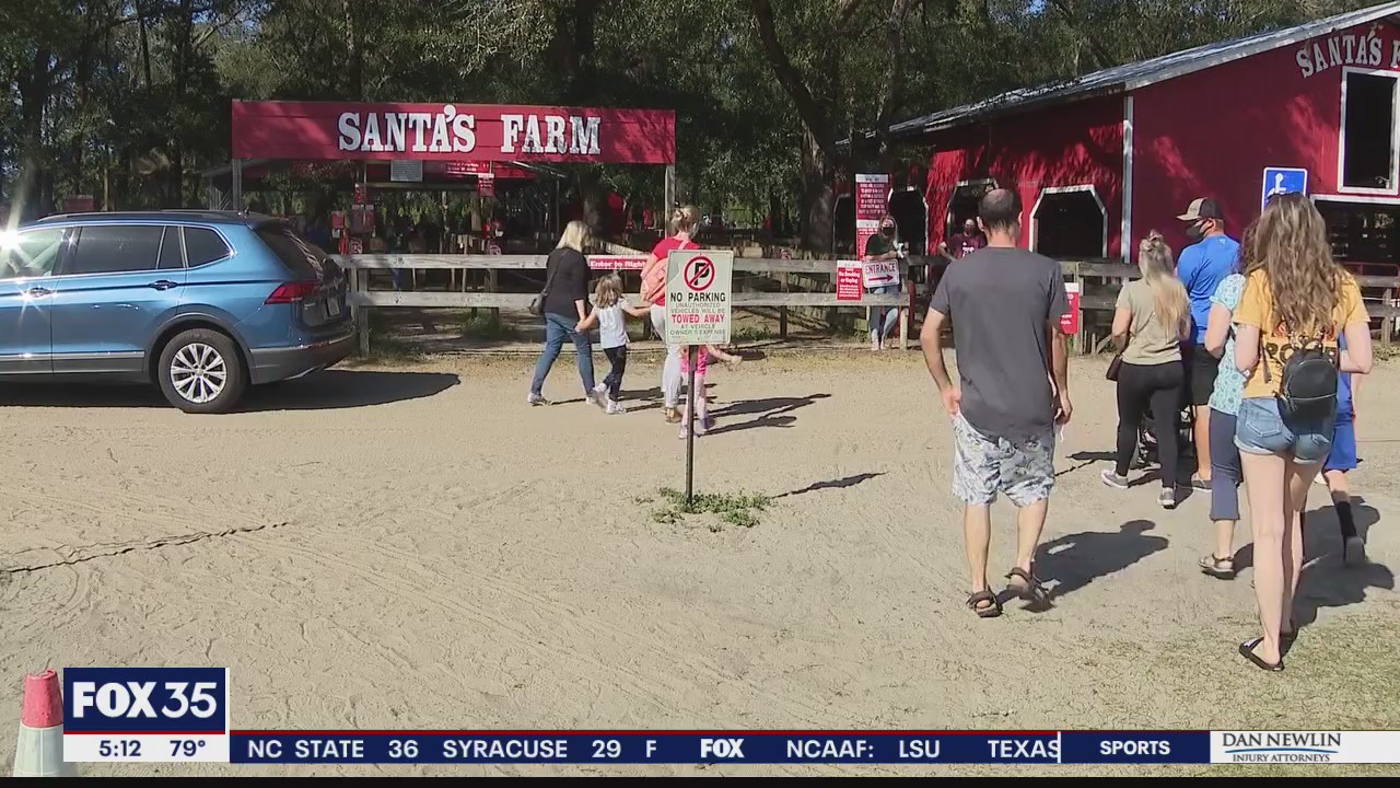 Eustis tree farm seeing big business