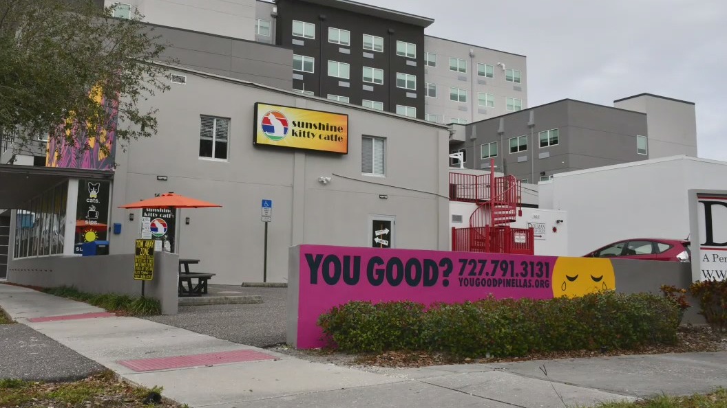 Signs around Pinellas County offer mental health resources