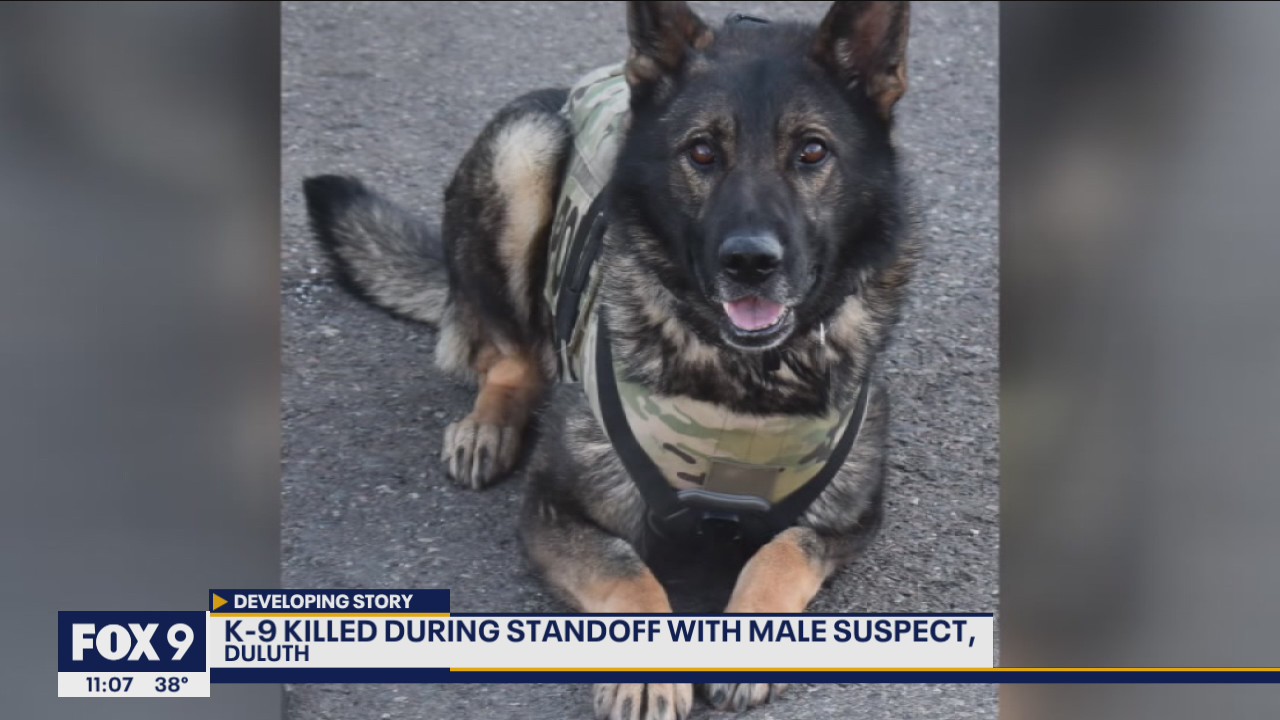 Duluth Police K-9 shot, killed during standoff