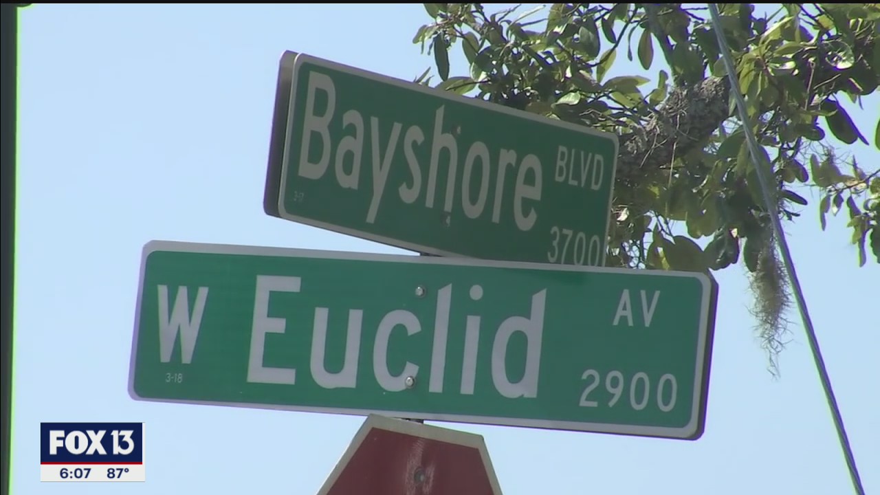 New traffic lights along Bayshore