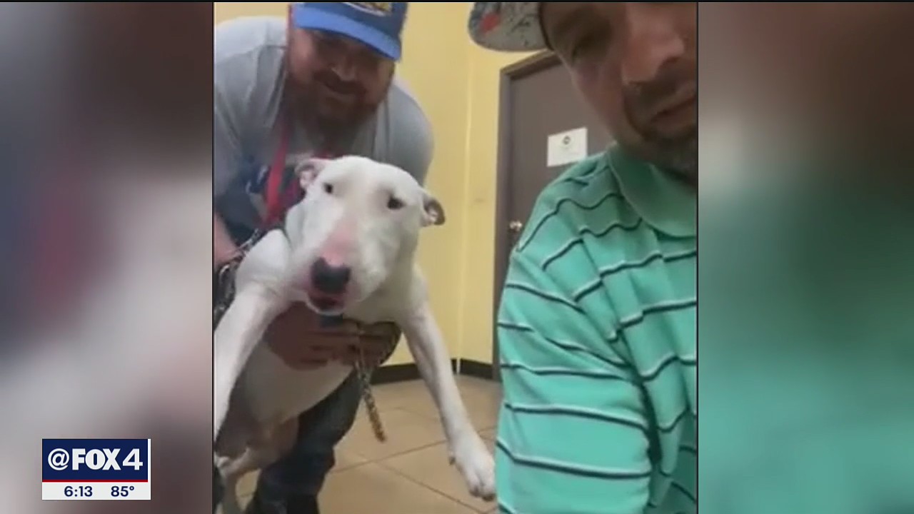 Sulphur Springs man credits his dog for saving him after house catches fire