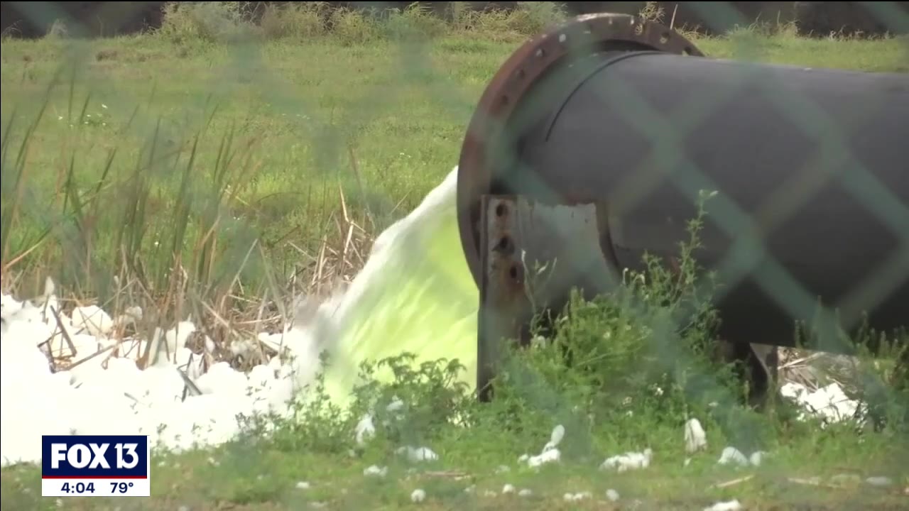 Piney Point's future