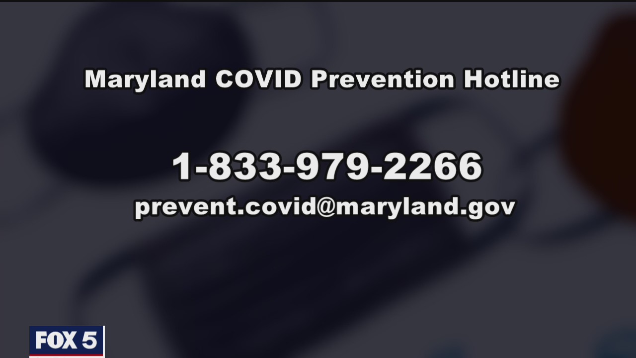 Maryland establishes hotline to report COVID-19 social gather violations