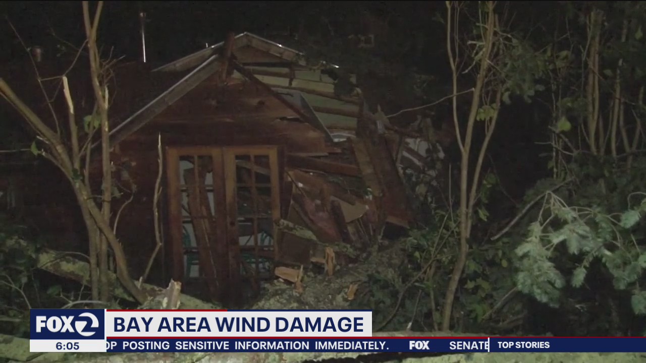 Gusty winds knock down trees, power lines, and spark fires throughout the Bay Area