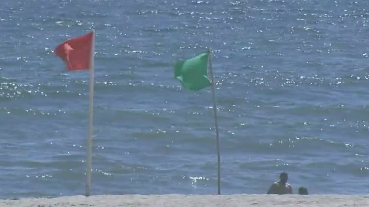 More shark sightings off Long Island