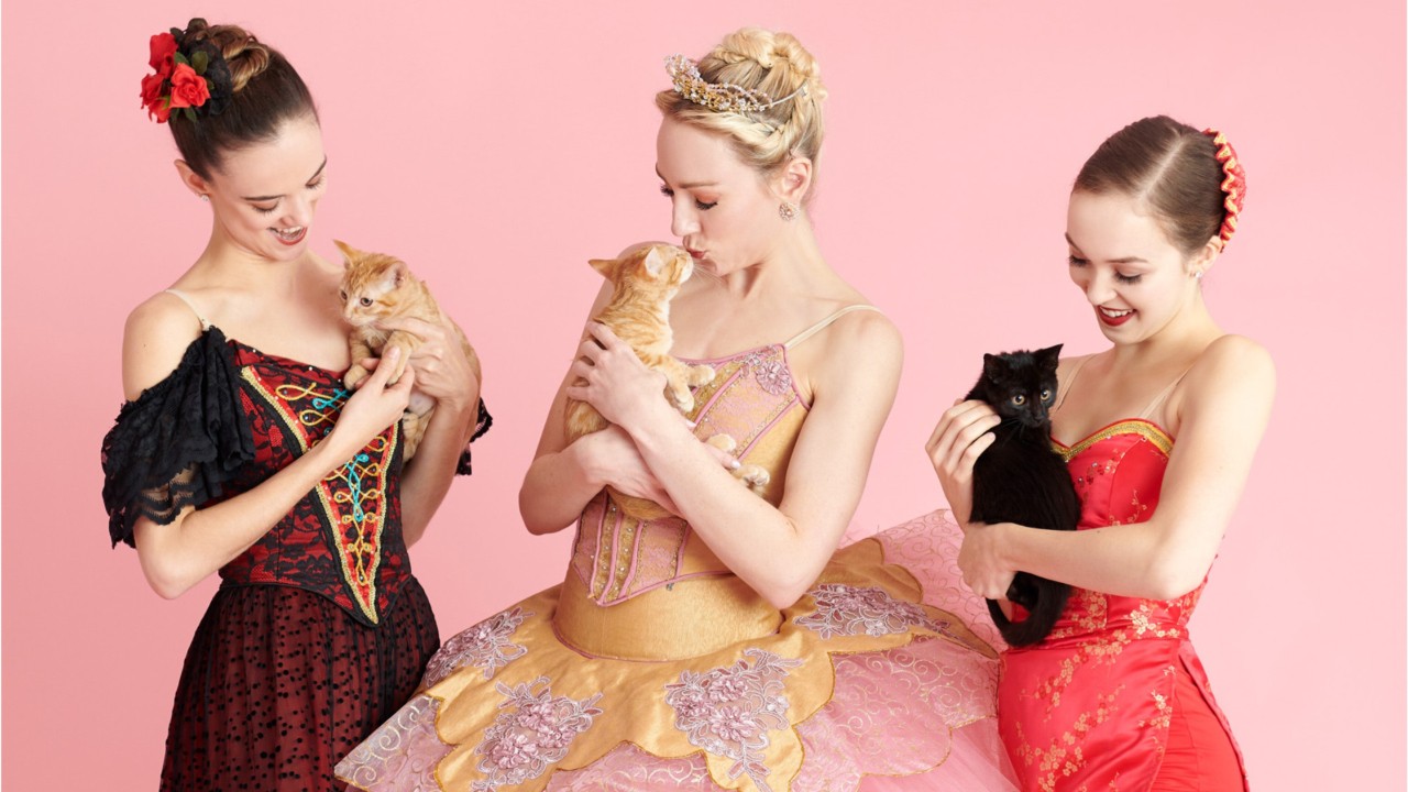 Ballerinas take photos with shelter pets to help them get adopted