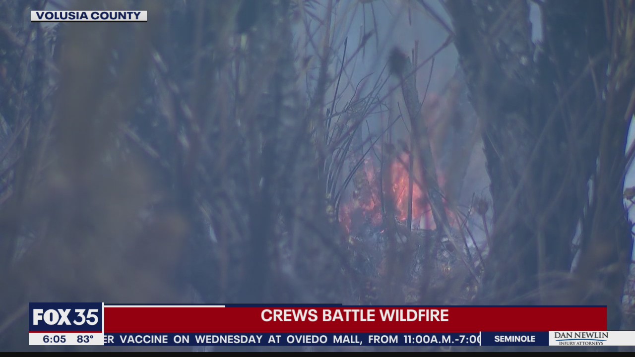 Brush fire breaks out in Volusia County near U.S. 92