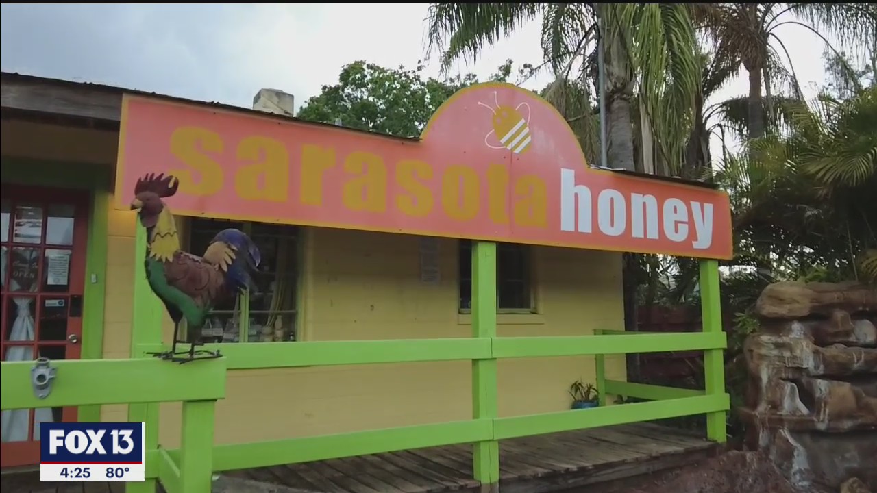 Sarasota Honey Company keeps backyards buzzing