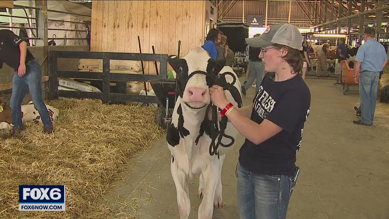 Day 2 of the Wisconsin State Fair