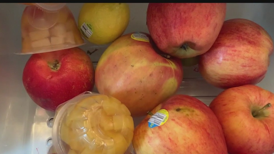 Food check: What to keep and what to throw away
