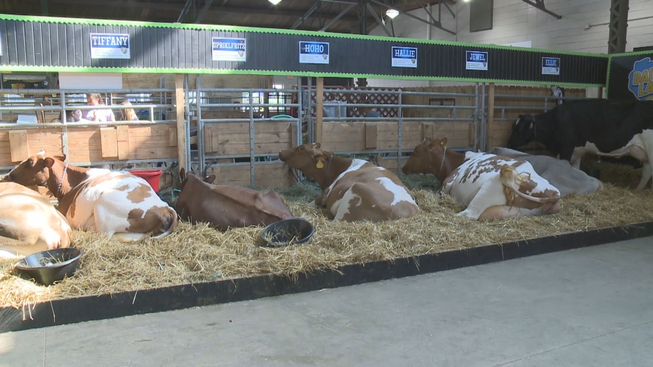 History of dairy at Wisconsin State Fair