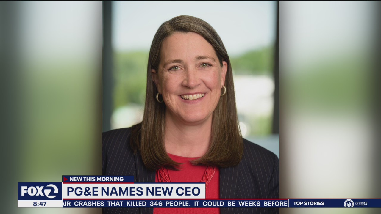 Utility taps new CEO from Michigan