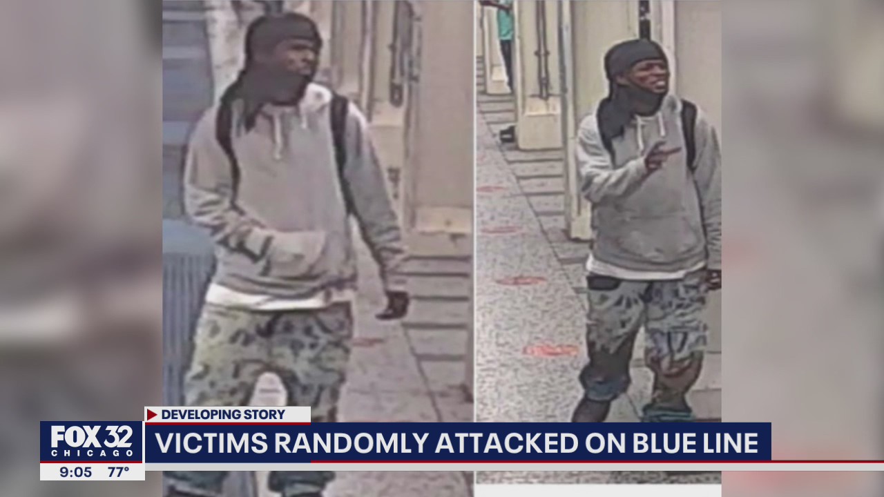 Victims randomly attacked on CTA Blue Line