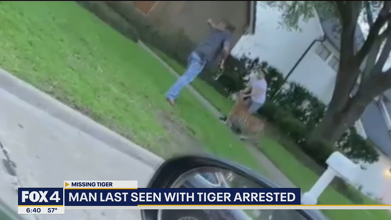 Man last seen with tiger in Houston neighborhood arrested