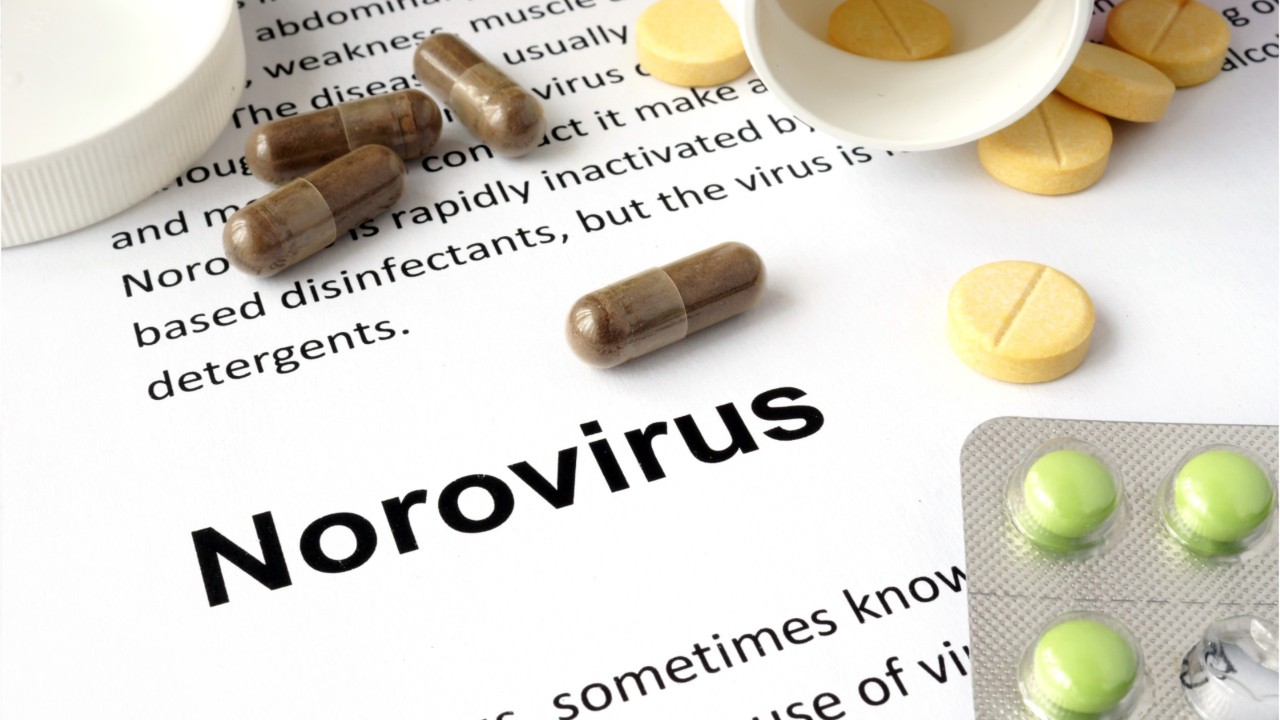 Colorado closes 46 schools over possible norovirus