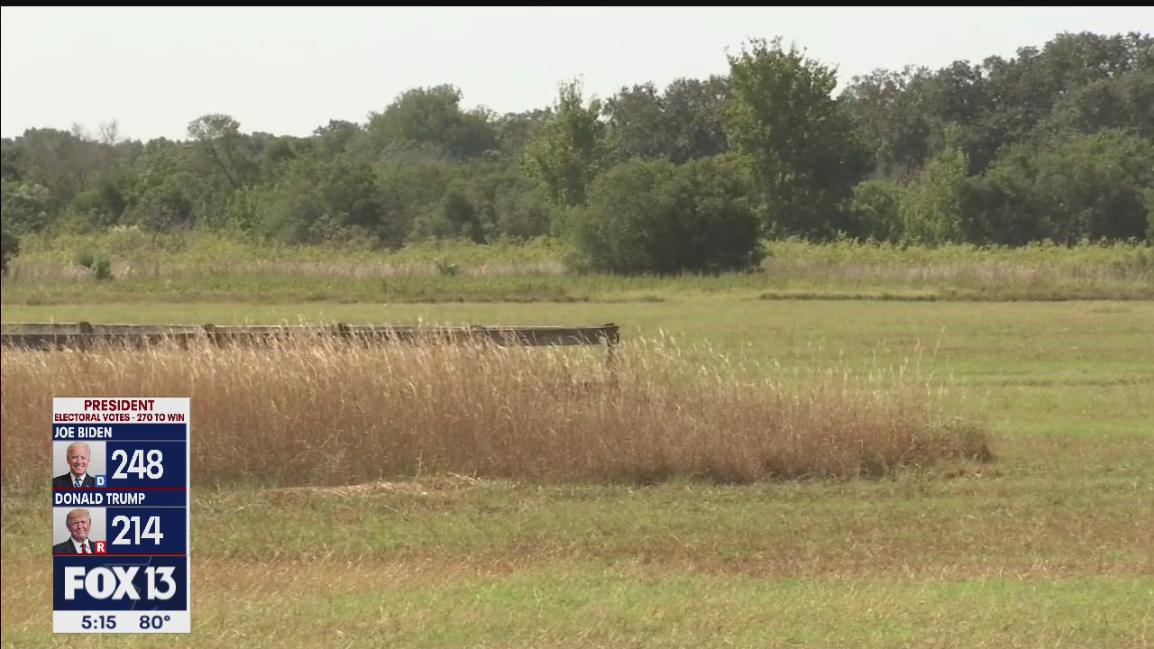Manatee voters take nature's side with preservation measure