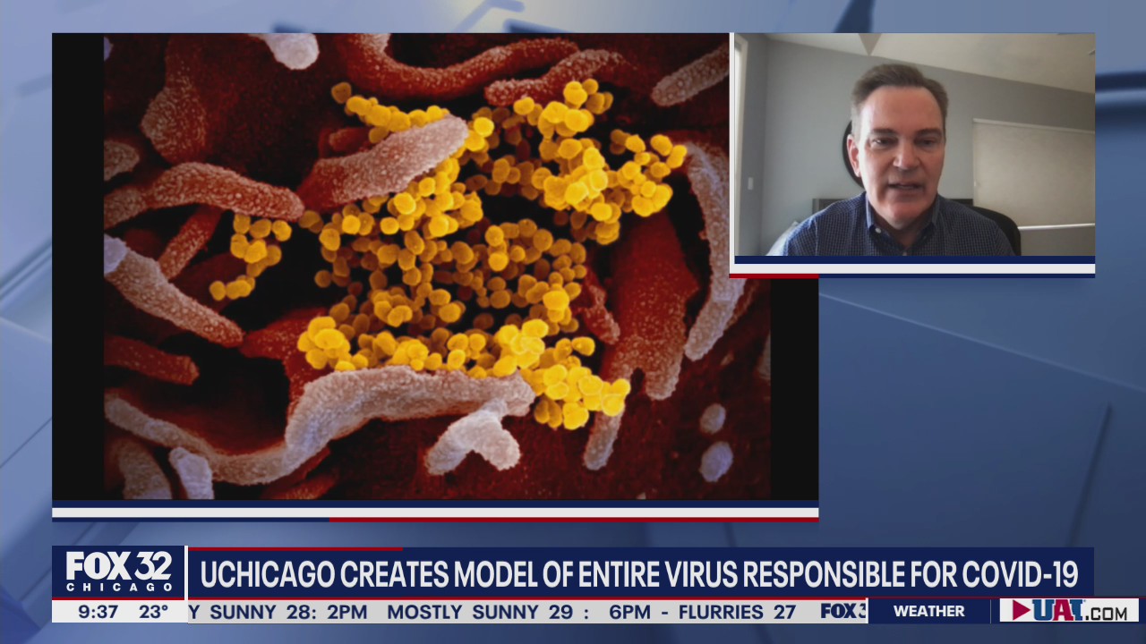 U of Chicago creates first computational model of the entire virus behind COVID-19