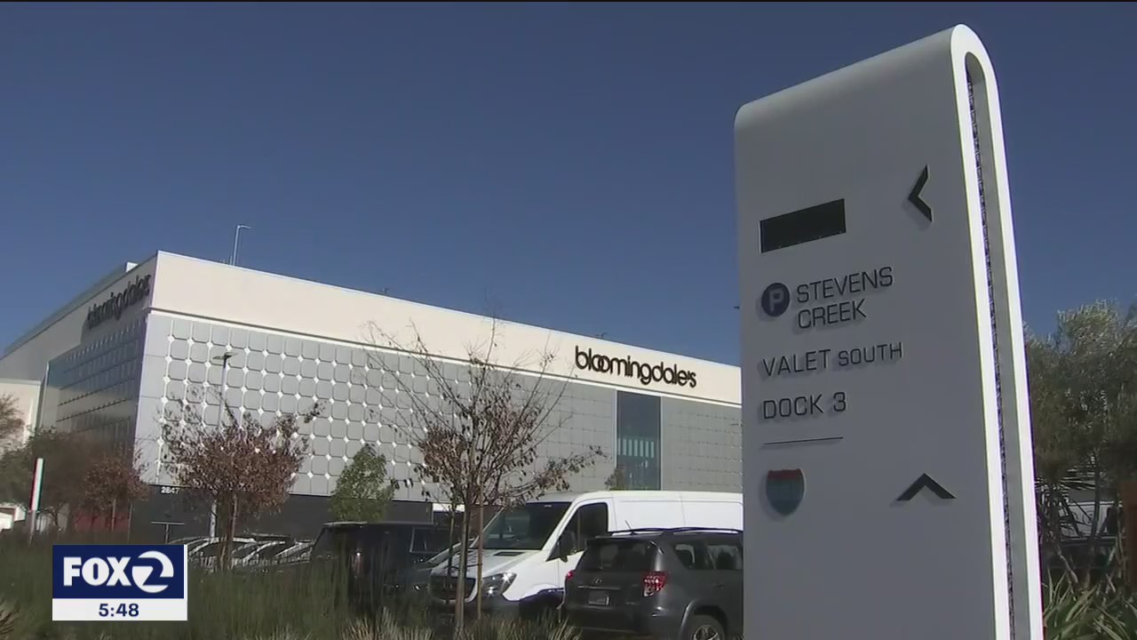 Holiday shopping during a pandemic? Consumer advocates share tips