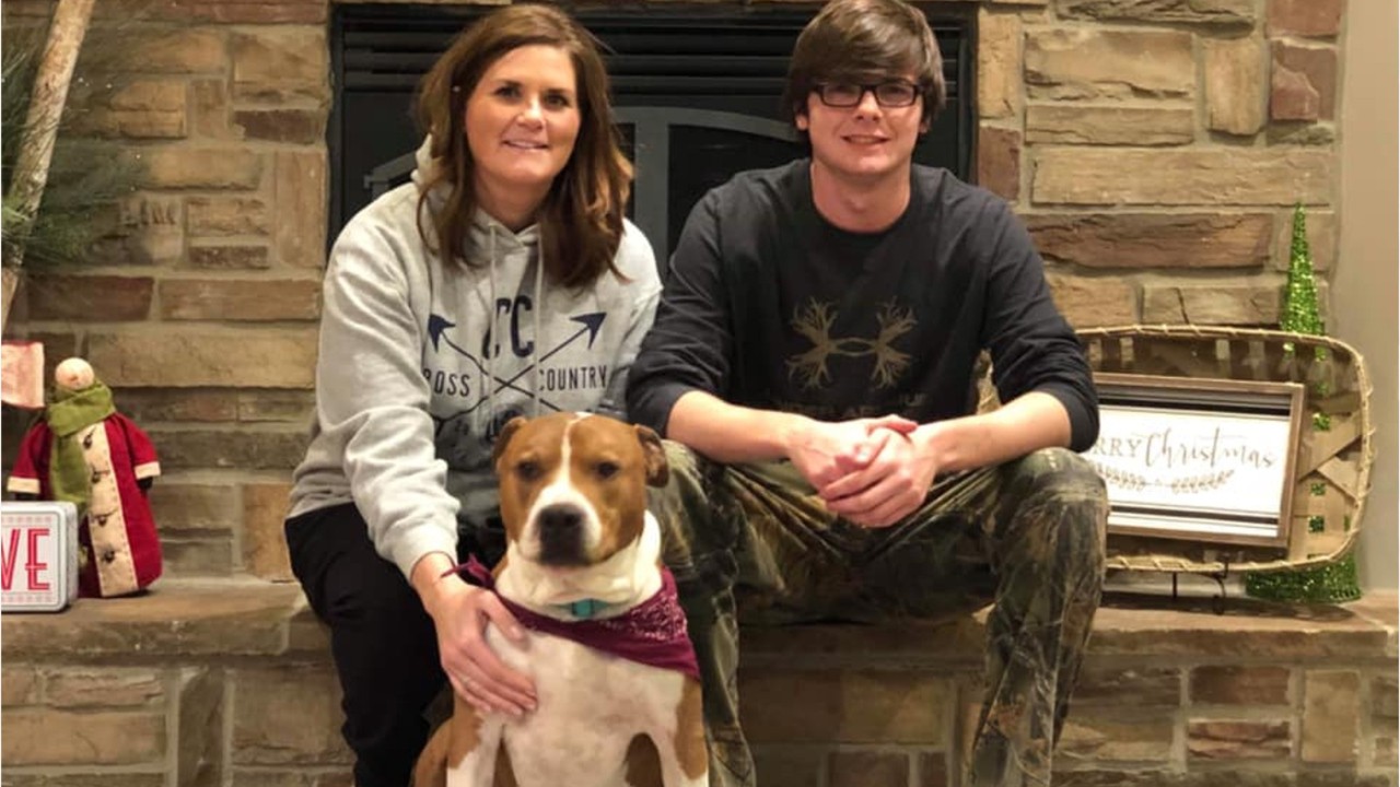 More than a dozen volunteers form relay, travel 2,000 miles to return stolen dog to family