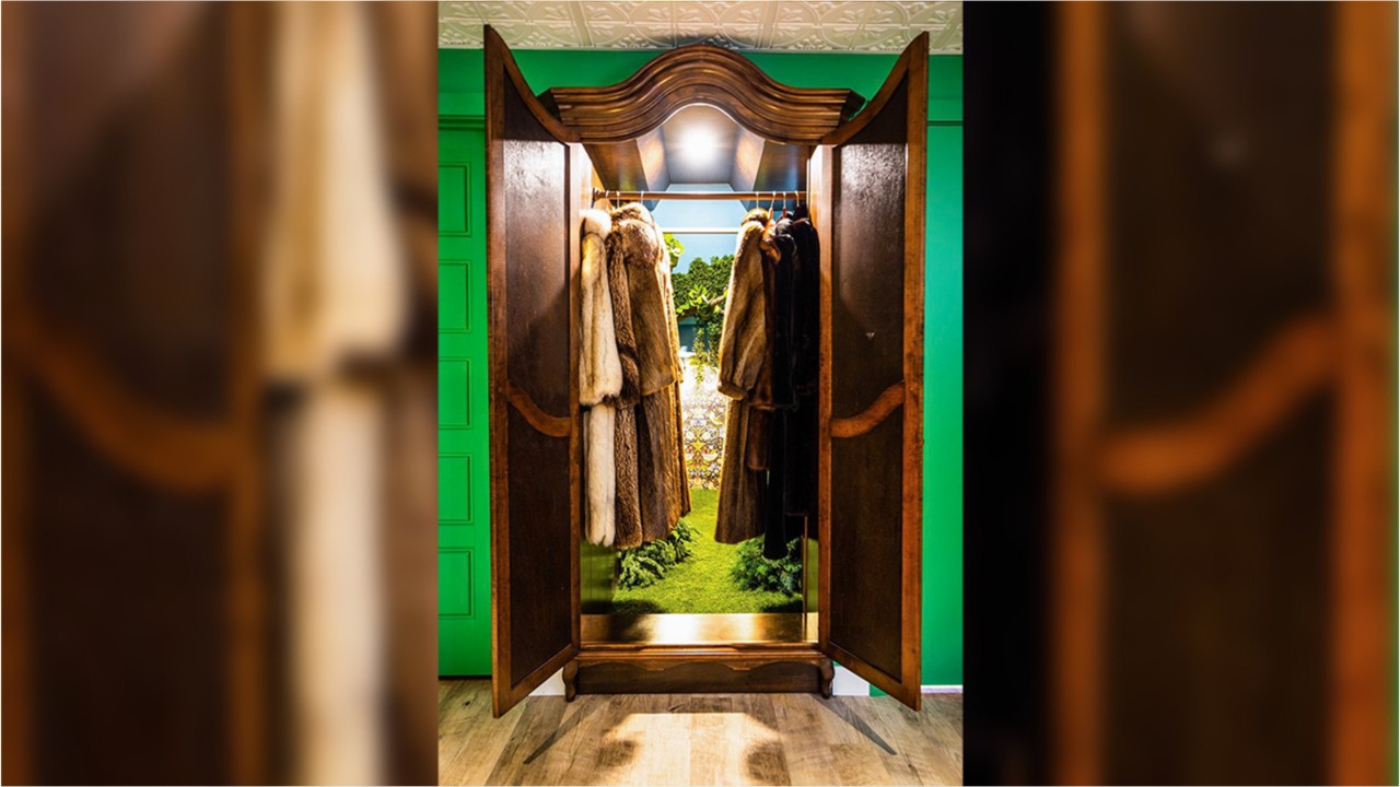 Mom builds secret Narnia room with wardrobe entryway for daughter