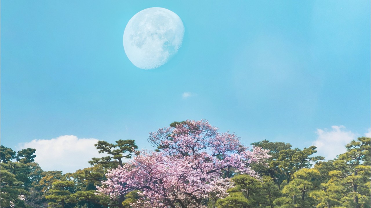 April’s ‘Super Pink Moon’ is the largest super moon of the year