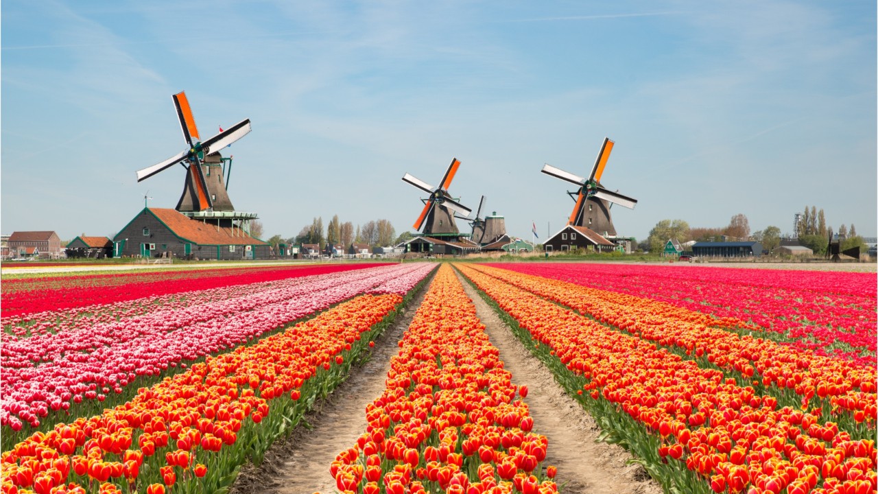 Netherlands to drop ‘Holland’ nickname as part of rebranding in the new year