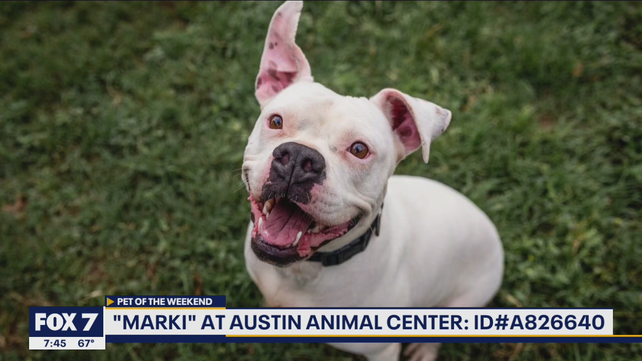 Pet of the Weekend: Marki