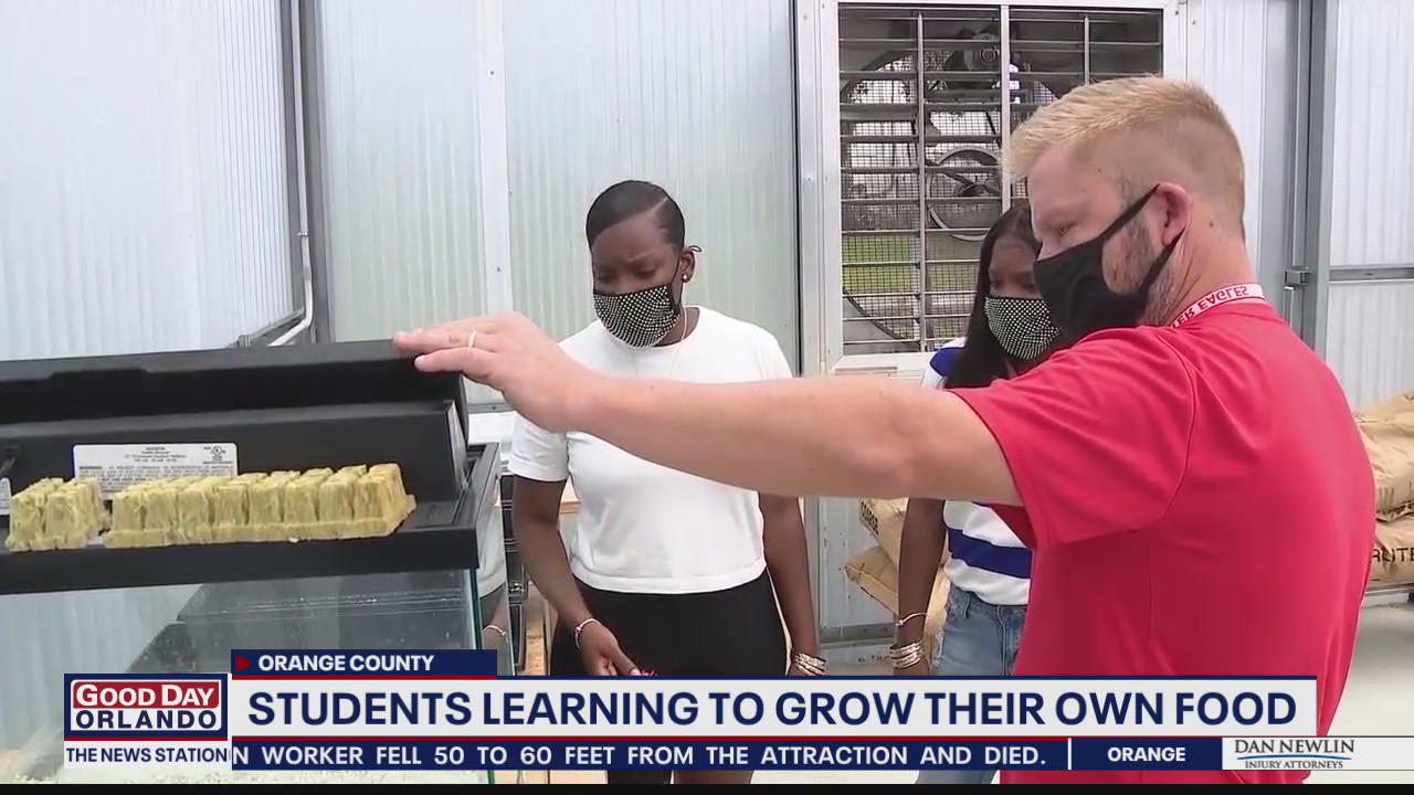 4Roots Farm project teaches students to grow their own food