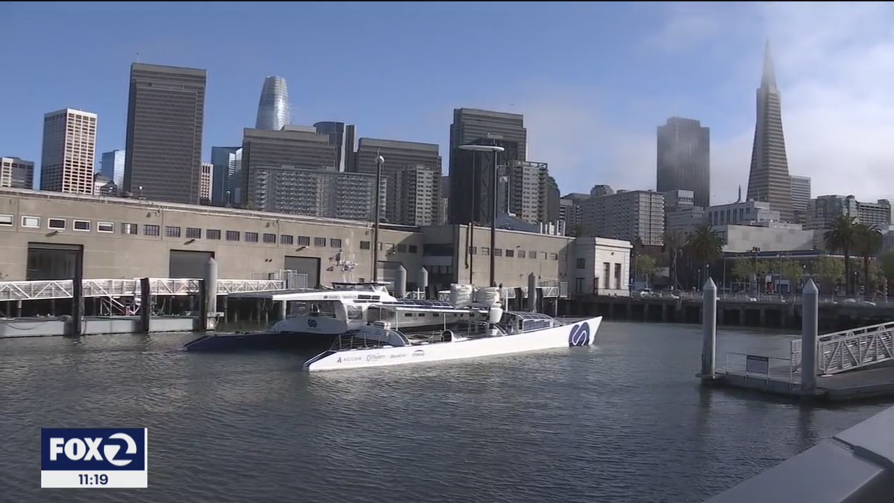 Eco-friendly vessel could be the future of cargo shipping