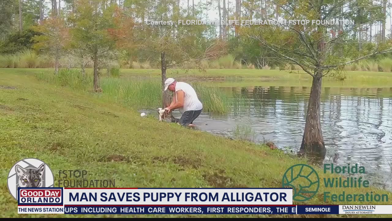 Man who saved puppy from alligator talks to Good Day Orlando