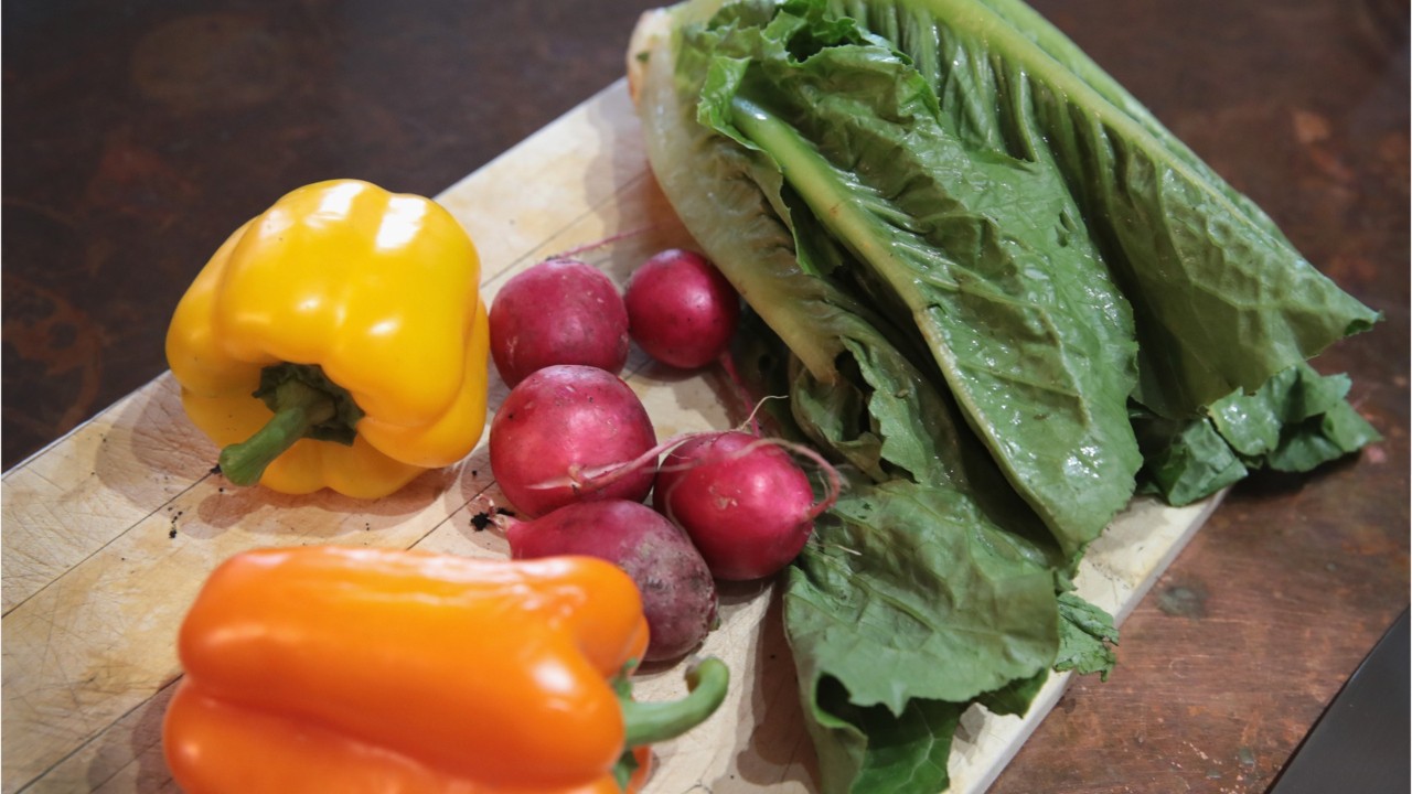 E. coli: How it spreads, symptoms and how to prevent illness