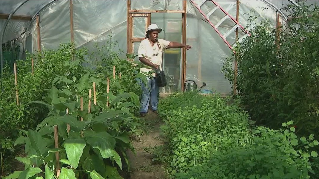Urban garden grows in the Bronx