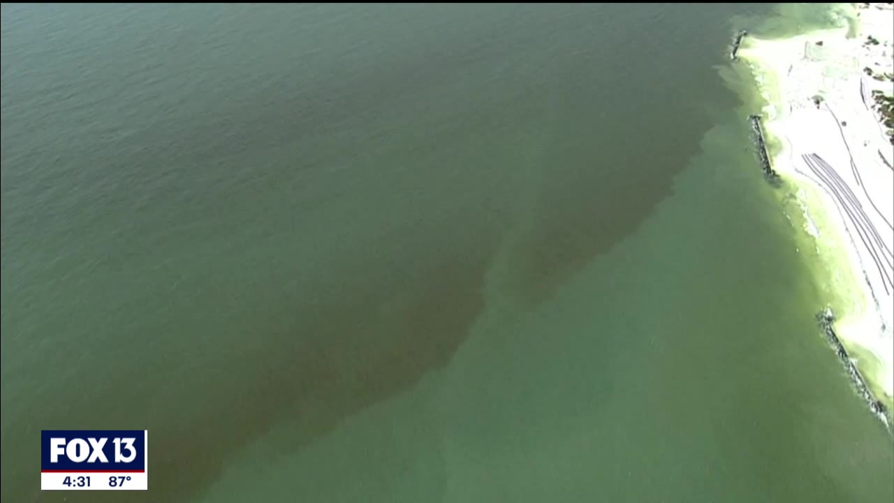 Florida's toxic water problem