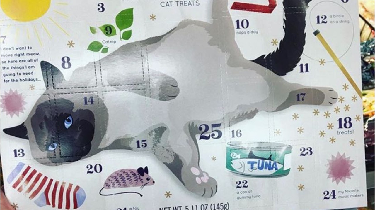 Trader Joe’s unveils salmon treat-filled advent calendars for cats