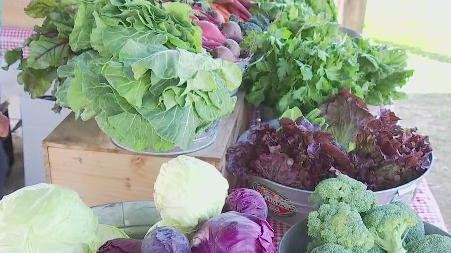 Sustainable Food Center talks about Fresh for Less Mobile Markets