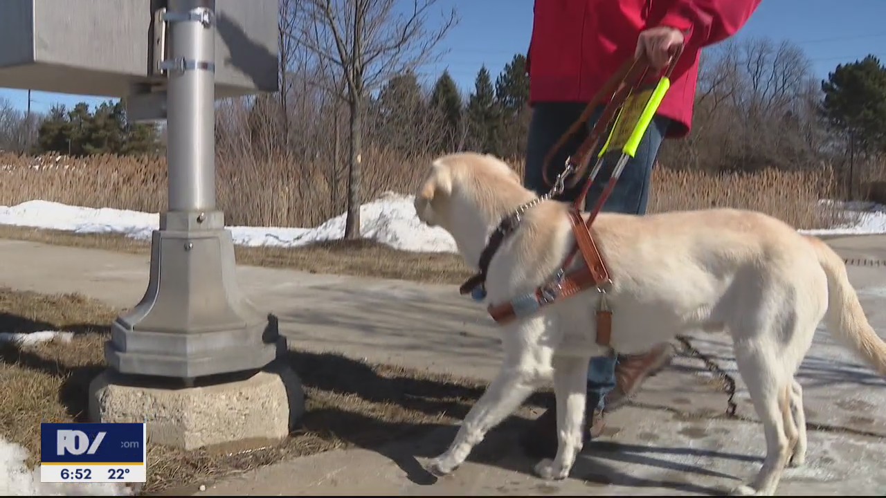 Leader Dogs for the Blind