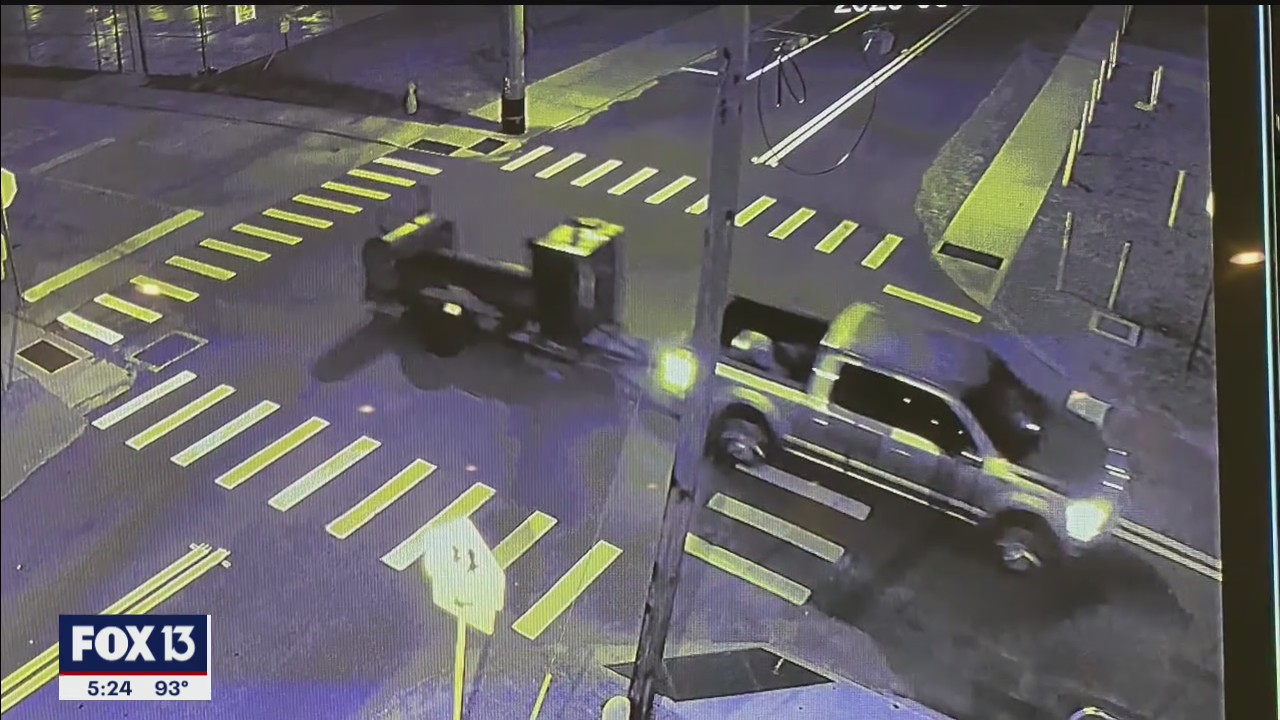 Video shows BBQ theft
