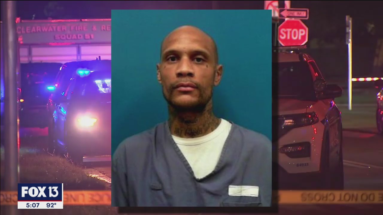 Tampa man faces fleeing charges after deadly crash