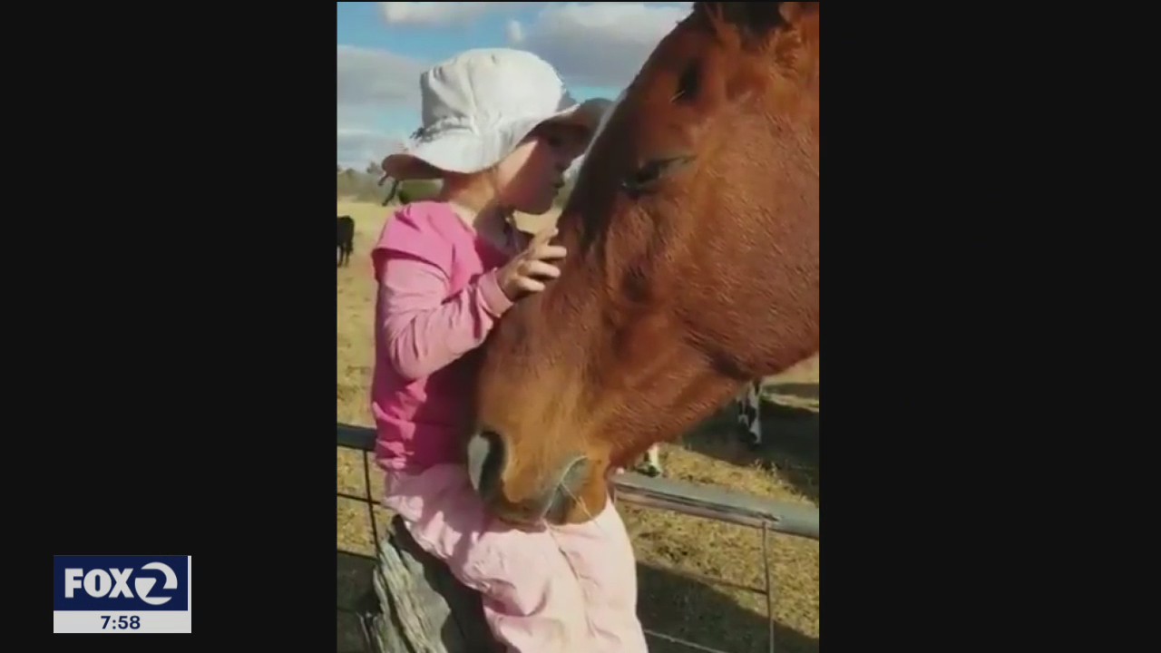 Little girl serenades horse