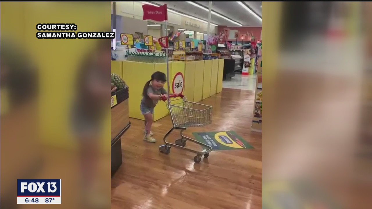 Cerebral palsy isn't stopping this Dunedin 3-year-old from shopping with mom