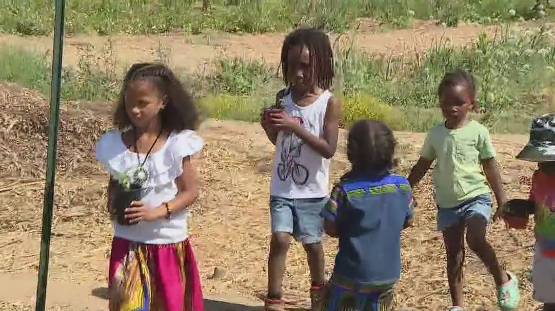 Arizona nonprofit offers free hands-on opportunities for kids to farm