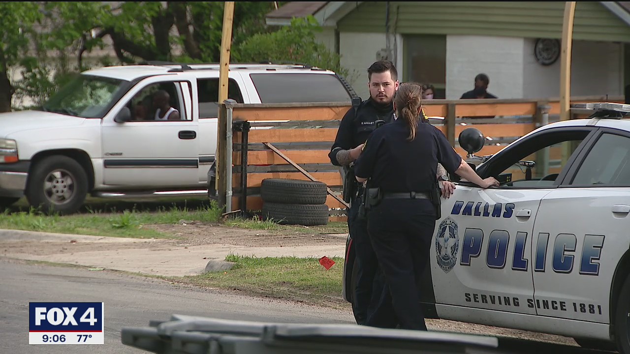 Dallas officer shoots dog dead after 911 call about attempted attack on child
