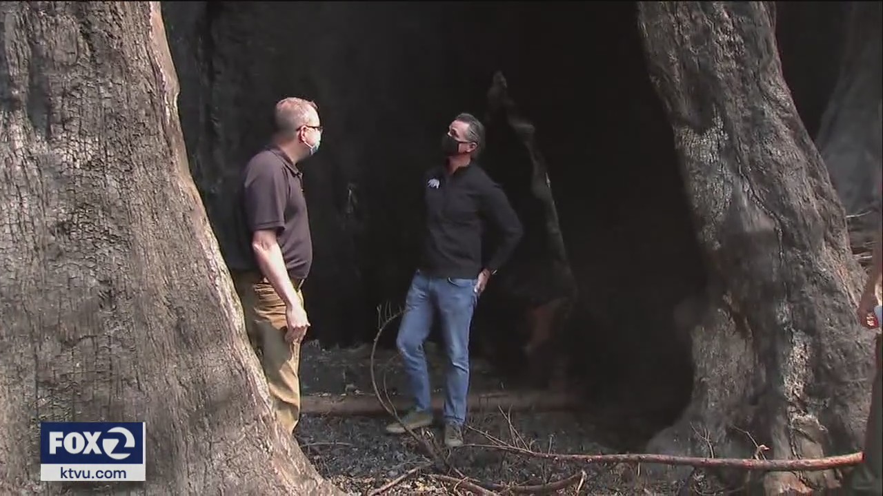 Governor tours fire damage in Santa Cruz County