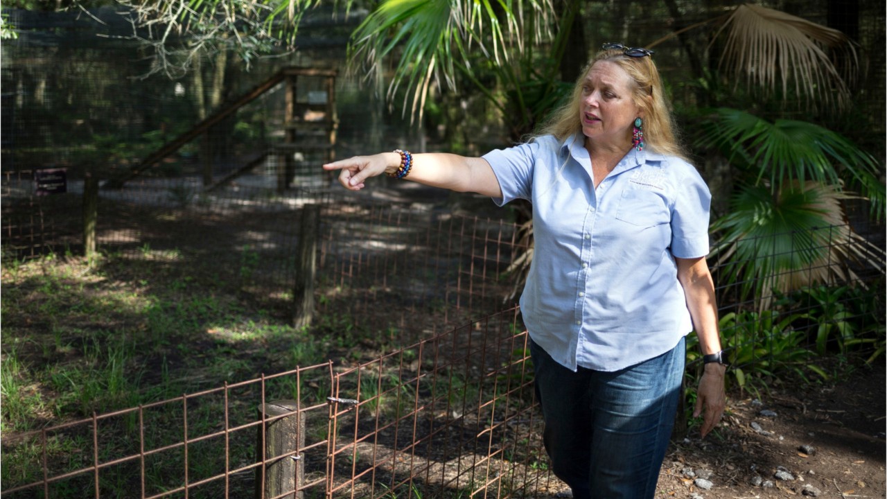 Carol Baskin from Netflix's 'Tiger King' says she receives death threats