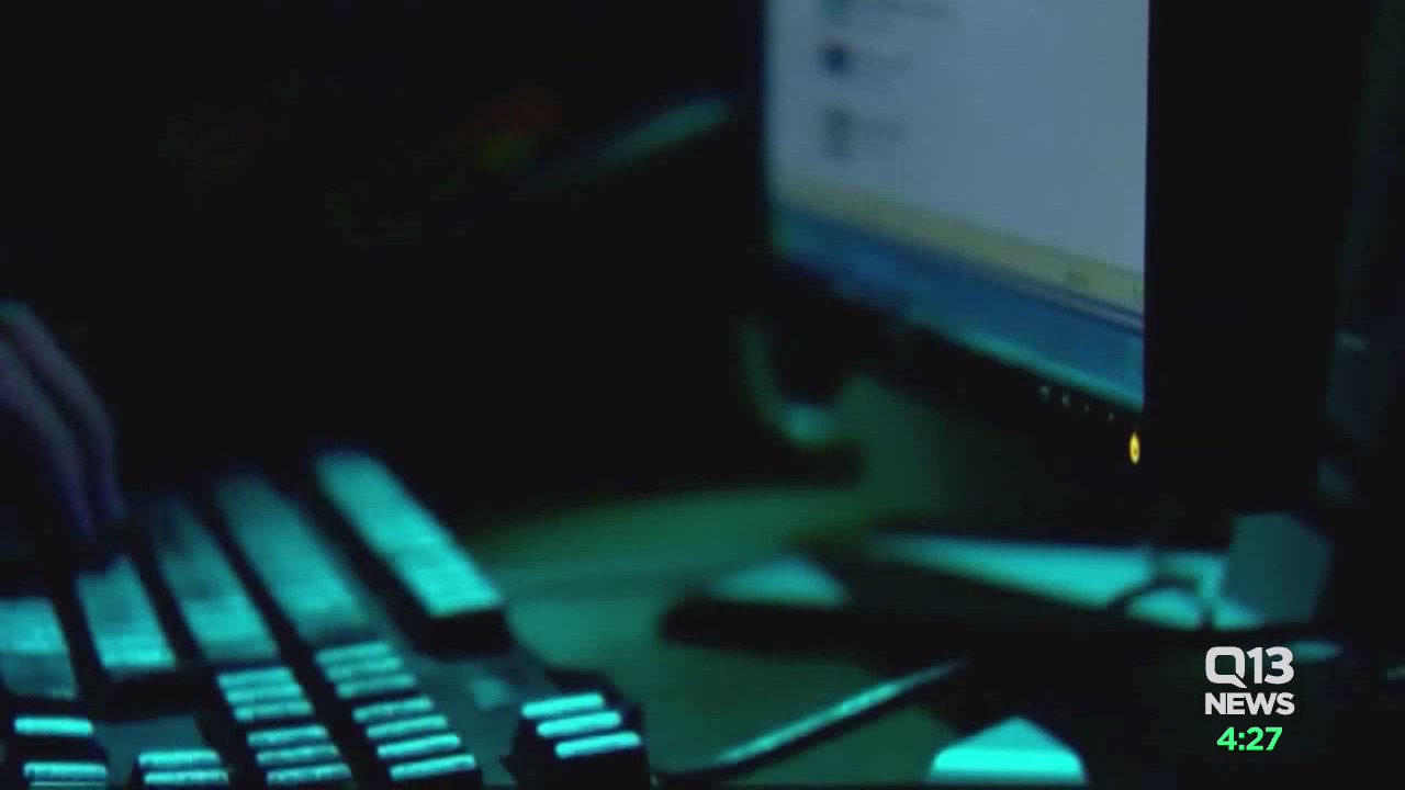 SPD detectives fighting internet crimes against children