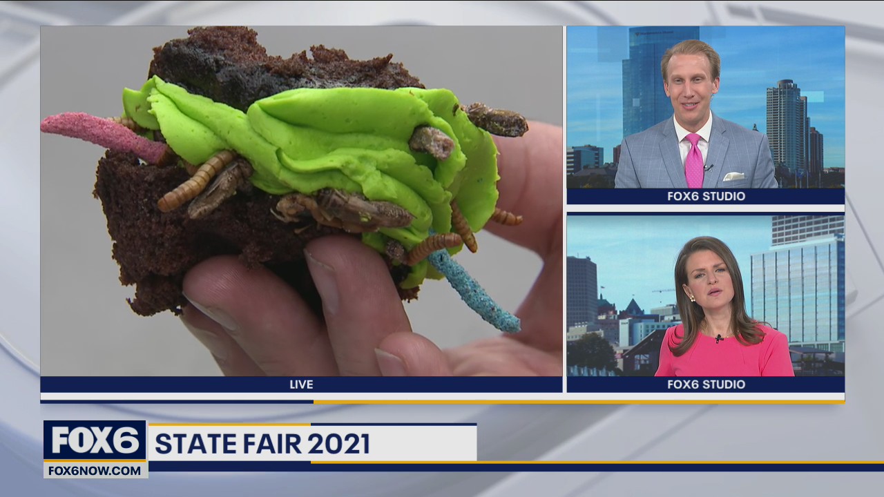 Unique foods at the fair