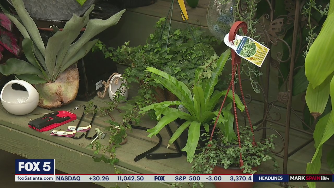 Pike Nurseries talks about hanging plants