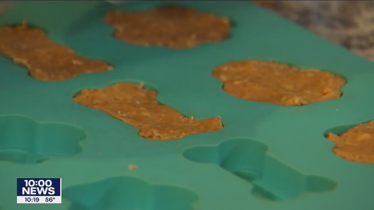 Minnesota teen launches dog treat business over pandemic