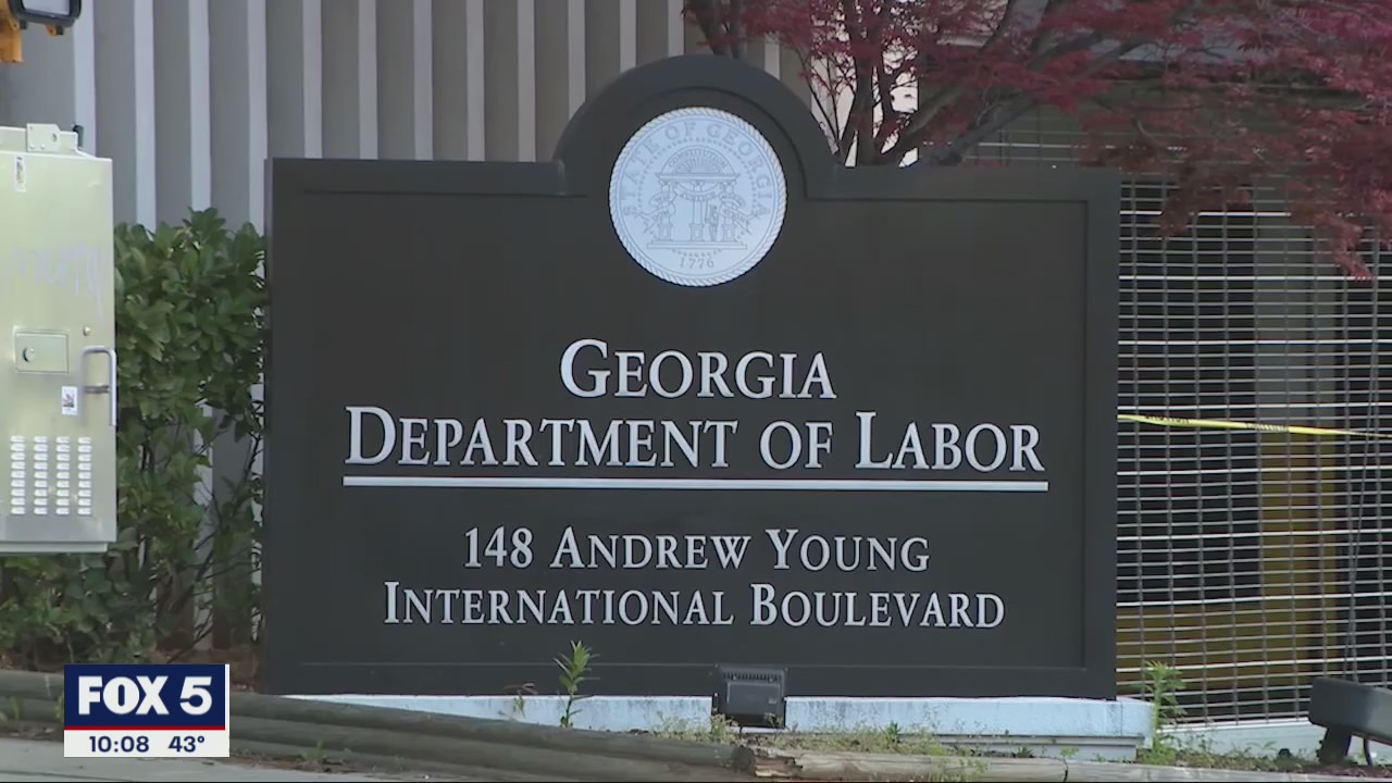 Georgia Labor pilot program has bumpy start