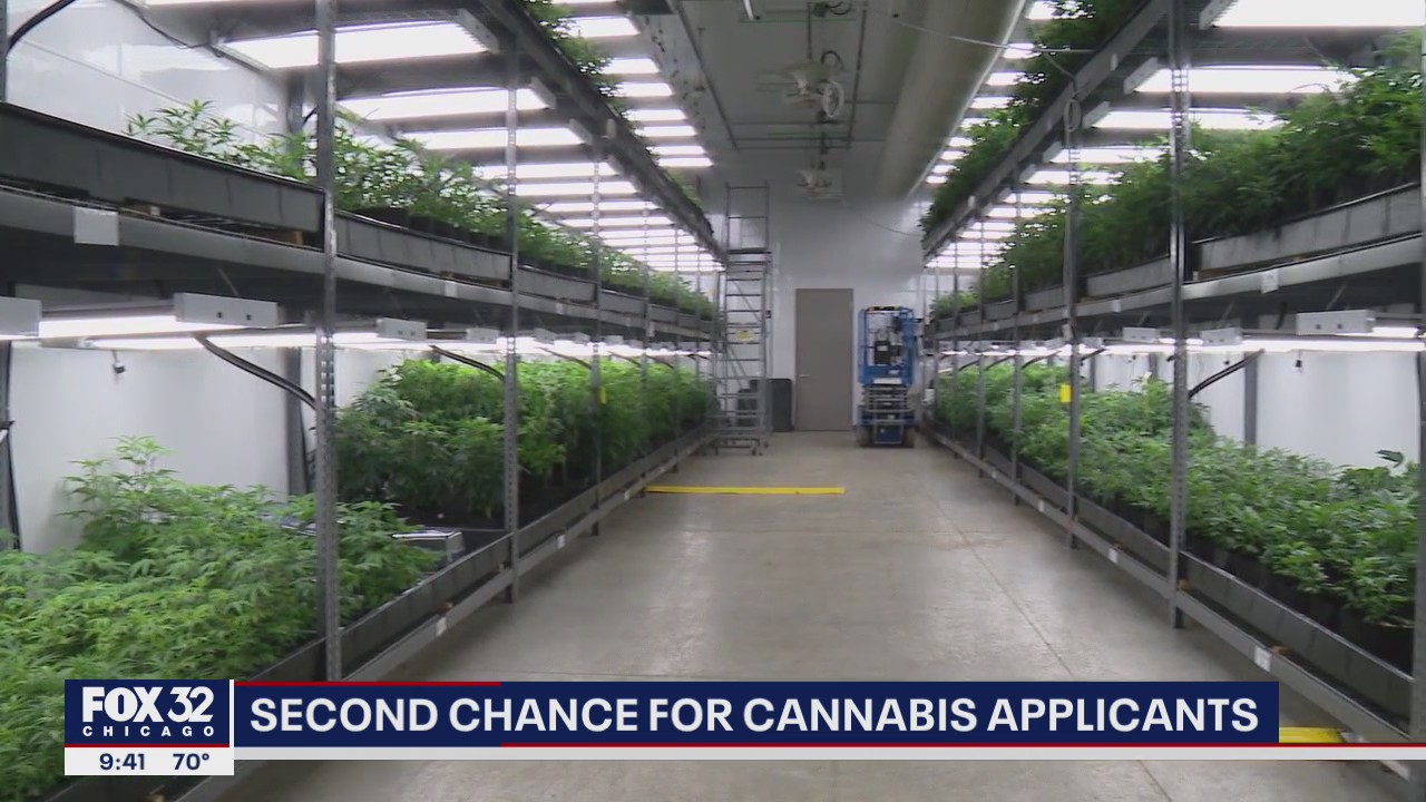 After complaints, Illinois revises process of applying for marijuana license
